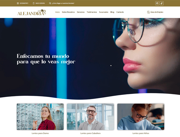 diseño de paginas web en venezuela